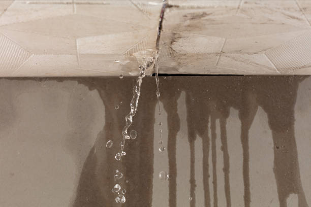 Professional Burst Pipe Cleanup technician working in Warren, OR